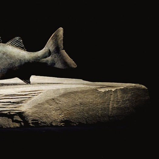 Photo by Richard Greenly (Click to enlarge)