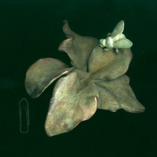 Photo by John Page (Click to enlarge)