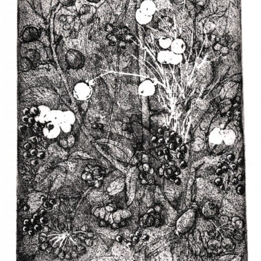 Winter berries in the wet woods (Click to enlarge)