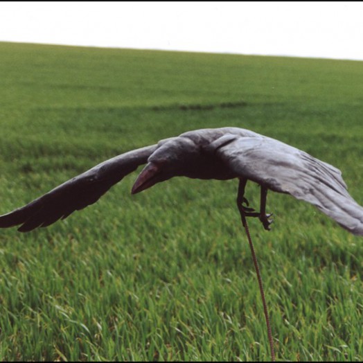 ... the rook raider flies with articulated wings ...          (Click to enlarge)