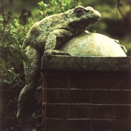 ...nearly five times life size ... (Click to enlarge)