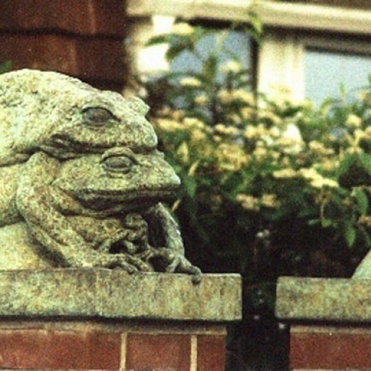 ... of a long and happy marriage ... (Click to enlarge)