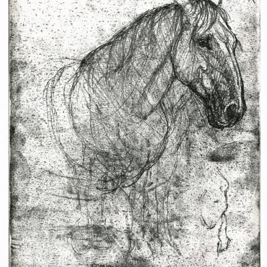 ... a great hunter and a gentleman ...  (Click to enlarge)