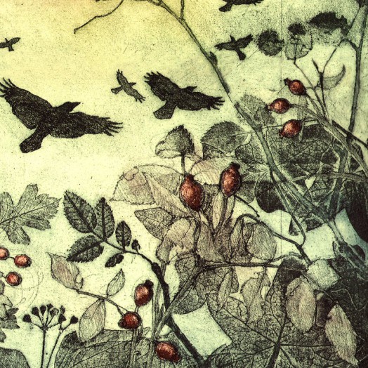 ... rampaging rooks ... (Click to enlarge)