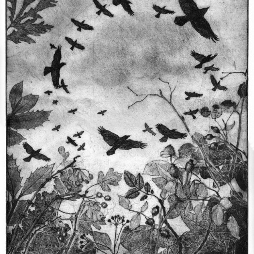 ... rampaging rooks ... (Click to enlarge)