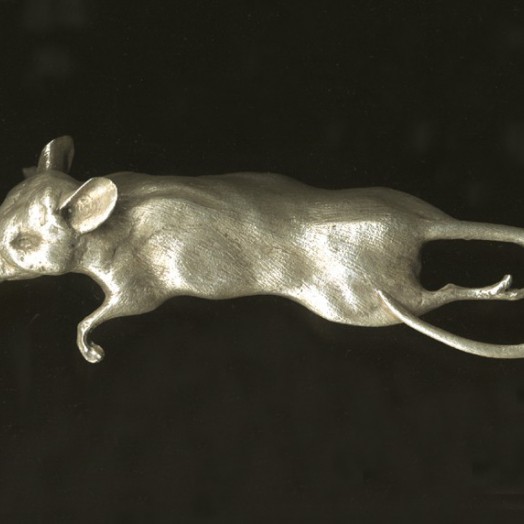 ... a gift from the cat ...  (Click to enlarge)