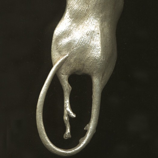 ... a gift from the cat ... (Click to enlarge)