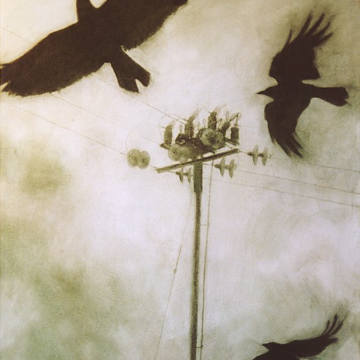 ... the rooks are so mysterious ...  (Click to enlarge)