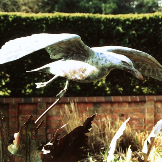 ... a water feature with fern fronds from the Downs … (Click to enlarge)