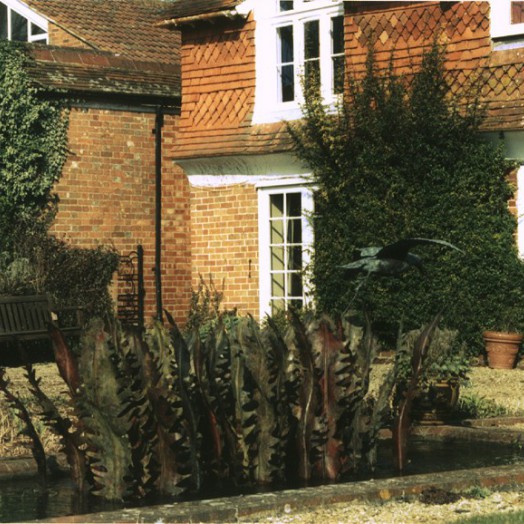 ... a water feature with fern fronds from the Downs … (Click to enlarge)