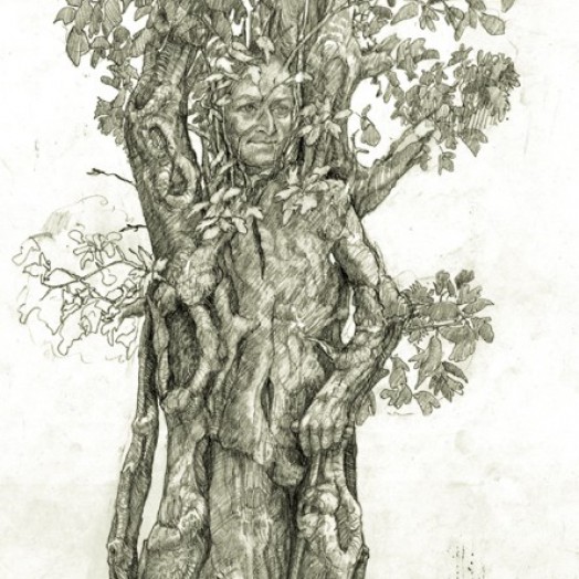 ... pencil drawing on polyester ... (Click to enlarge)