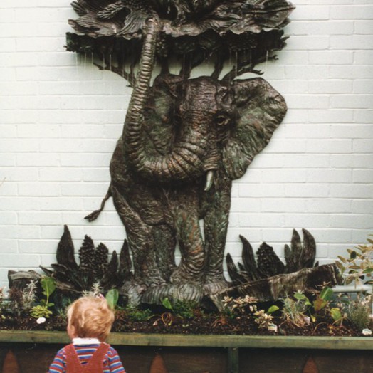 ... emerging from a storybook rainforest ...                     (Click to enlarge)