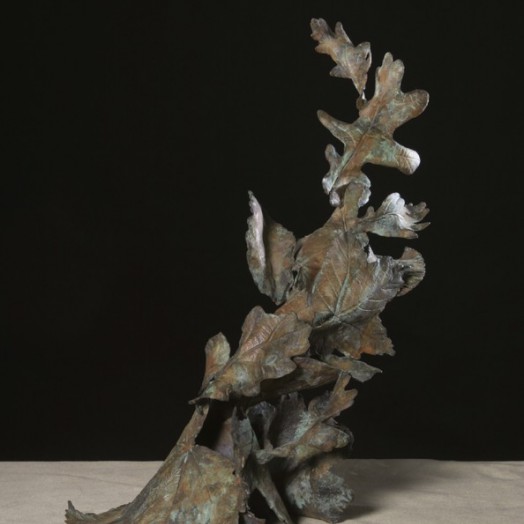 ... when the wind blows - it can leave you in a spin … (Click to enlarge)