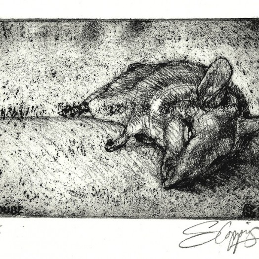 MOUSE ... a gift from the cat ...  (Click to enlarge)