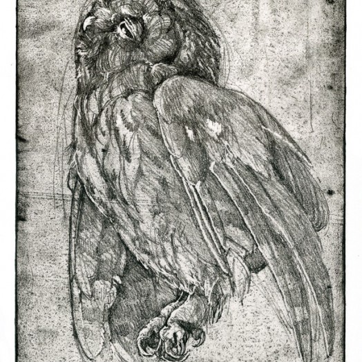 ... mother would have warned him not to be out so late   (Click to enlarge)