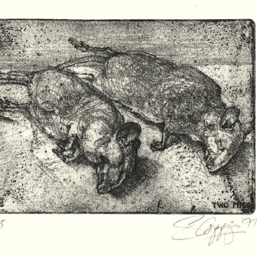 TWO MICE ... gifts from the cats ...  (Click to enlarge)