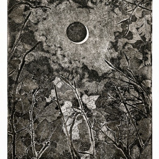 ... the silvery outline of the moon gradually disappears ...    (Click to enlarge)