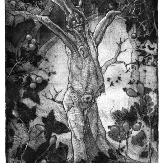 ... a lark in the naked wet woods … (Click to enlarge)