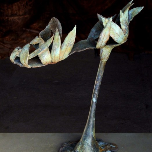 ... a quiet footfall in the woods ...  (Click to enlarge)