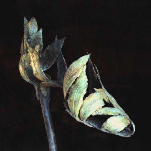 ... a quiet footfall in the woods ...  (Click to enlarge)