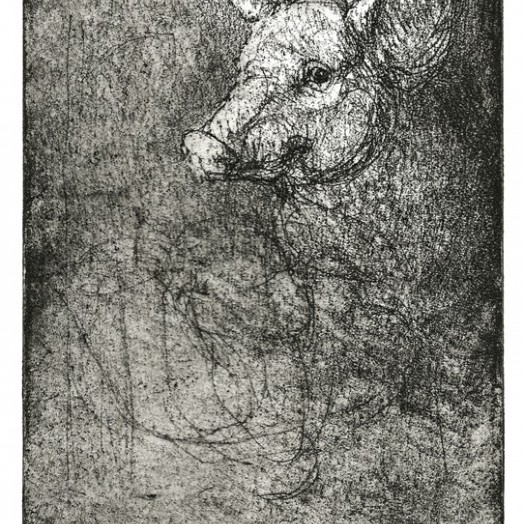  a pig with attitude  (Click to enlarge)