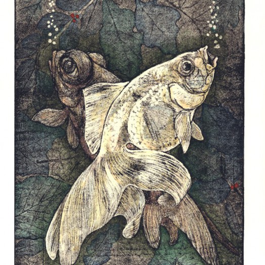 ... good friends who swim closely together ...  Hand tinted         (Click to enlarge)