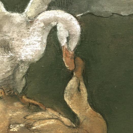 ... a gaggle of ducks ...  (Click to enlarge)