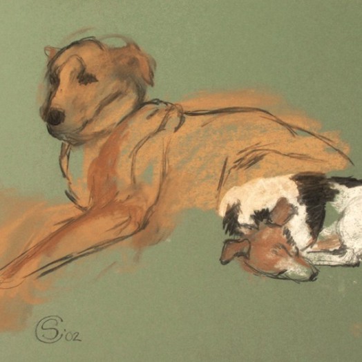 ... dog mates ... (Click to enlarge)