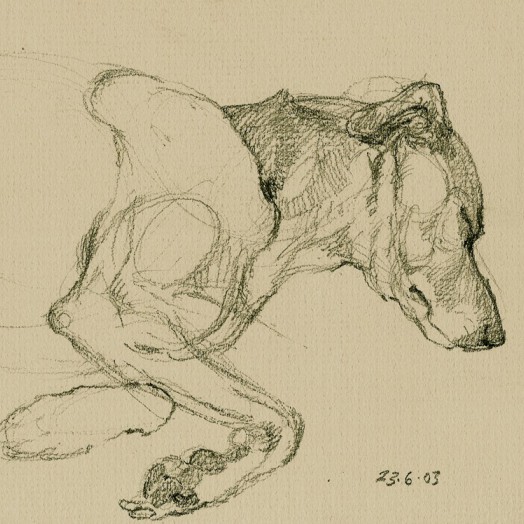 ... tinker dream ... (Click to enlarge)