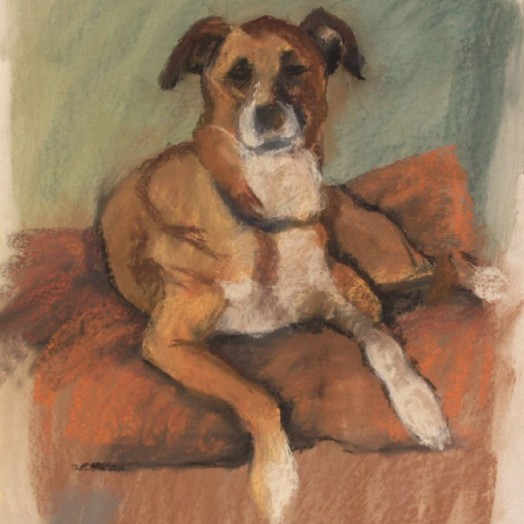 ... dog day ... (Click to enlarge)