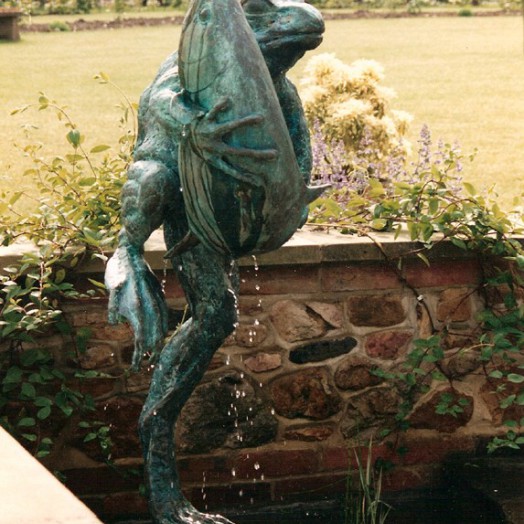 ... frogs have been found ‘hugging’ all kinds of creatures … including fish … (Click to enlarge)