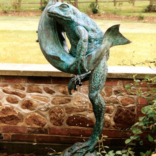 ... frogs have been found ‘hugging’ all kinds of creatures … including fish … (Click to enlarge)