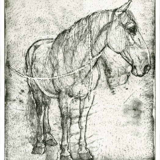 ... a great hunter and a gentleman ...  (Click to enlarge)