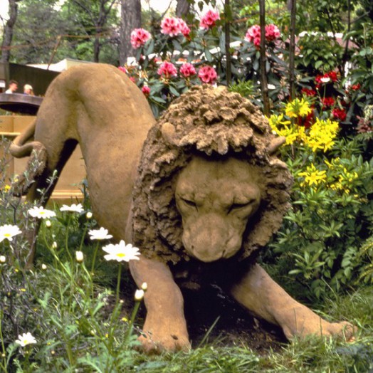 ... truant lion ... (Click here to enlarge)