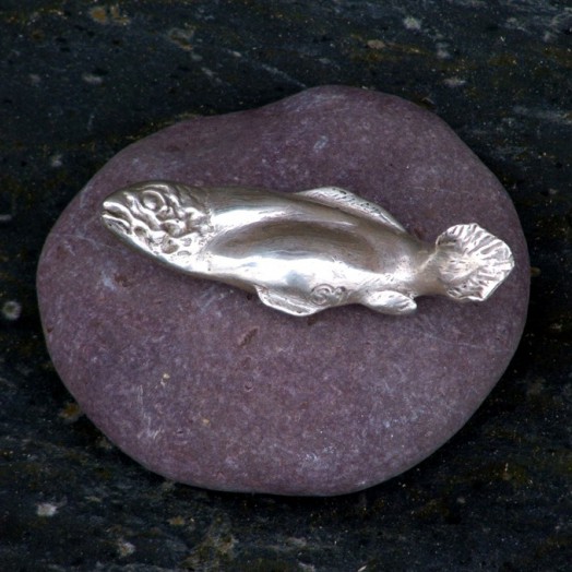  a silvery salmon all slippery and shiny                        (Click to enlarge)