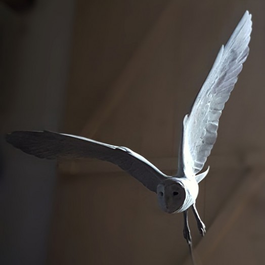 OWL OVER THE MOON… this ghostly spirit hovers above the moon …
